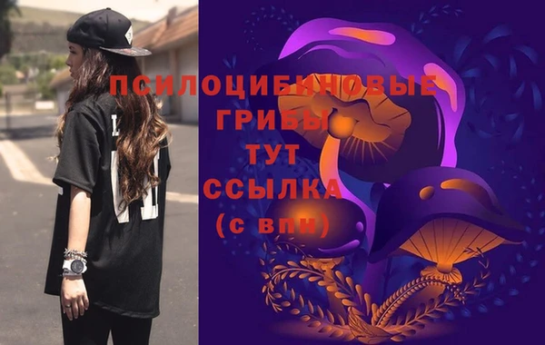 соль ск Горно-Алтайск