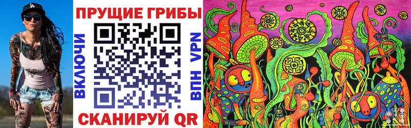 Галлюциногенные грибы мухоморы  Дудинка 